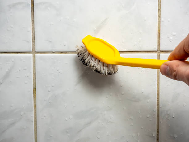 Best Commercial Mold Remediation in North Bethesda, MD