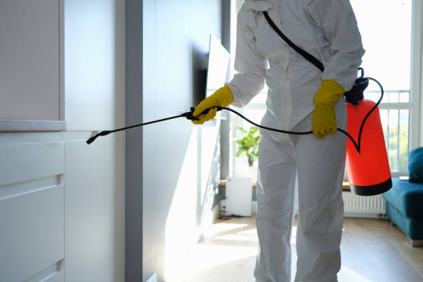  North Bethesda, MD Mold Removal Pros