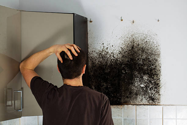 North Bethesda, MD Mold Remediation Company