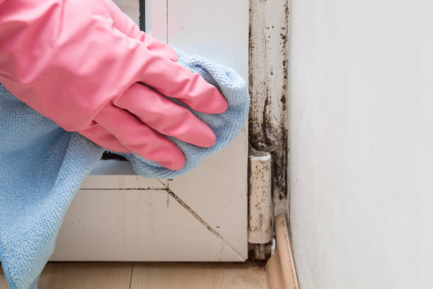 Best Mold Remediation for Schools in North Bethesda, MD
